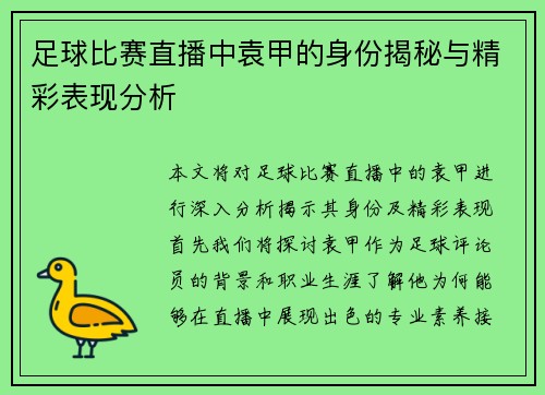 足球比赛直播中袁甲的身份揭秘与精彩表现分析